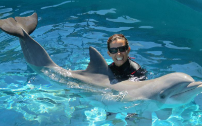 How to Become a Dolphin Trainer on Oahu Hawaii