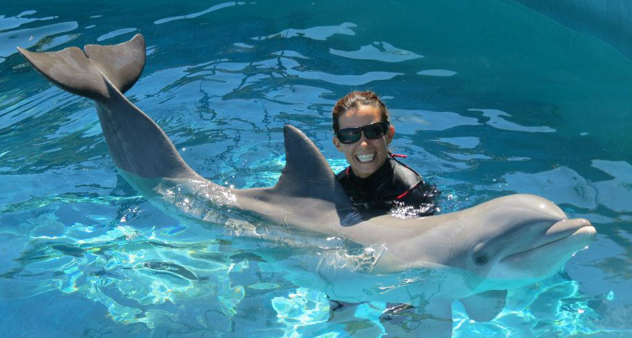 How To Become A Dolphin Trainer On Oahu Hawaii