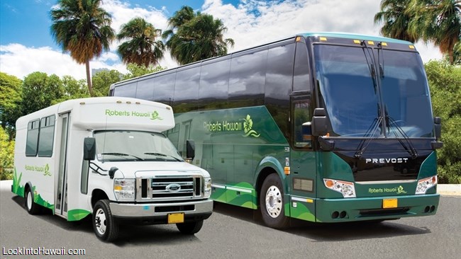 Buses and Transportation in Oahu