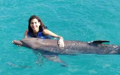 Dolphin Exploration – Deep Water Time with the Dolphins