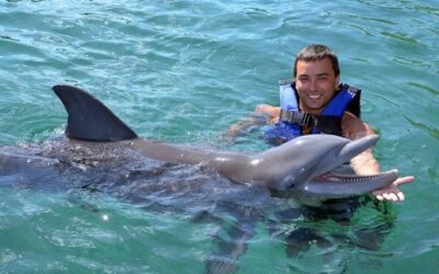A Dream Unleashed: Swimming with Dolphins at Sea Life Park near Sheraton Waikiki Beach