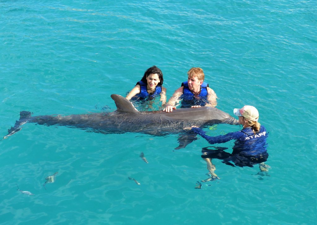 Dolphin Exploration Sea Life Park